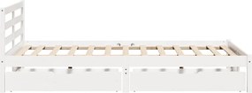 vidaXL Σκελετός Κρεβ. Χωρίς Στρώμα Λευκό 120x190 εκ Μασίφ Πεύκο