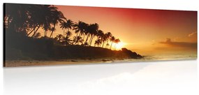 Εικόνα ηλιοβασίλεμα στη Σρι Λάνκα - 120x40
