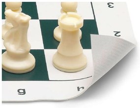 Σκάκι Cayro 935958 Πλαστική ύλη (50 x 50 cm)