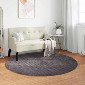 vidaXL Χαλιά χώρου Γύρος SIROLO Ανθρακί Ø 160 CM Πολυεστέρας