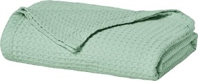 Κουβέρτα Πικέ Υπέρδιπλη (220x240) Kentia Loft Cecilia 10 Veraman