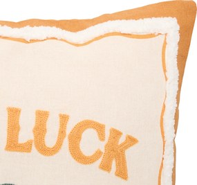 Διακοσμητικό Μαξιλάρι (40x40) A-S Good Luck Bichette 223203C