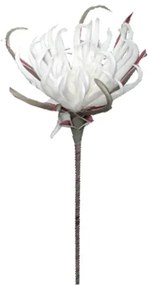 MarHome FOAM ΛΕΥΚΟ ΑΓΚΙΝΑΡΑ Y82cm. 12/120ΚΙΒ  00-1530-5