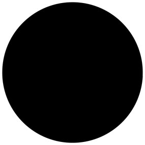 vidaXL Κάλυμμα Πισίνας Μαύρο 250 εκ. από Πολυαιθυλένιο