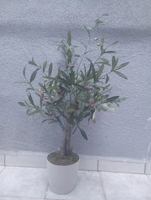 Διακοσμητικό τεχνητό δέντρο ελιάς αιγαίου σε λευκή γλάστρα Λευκό