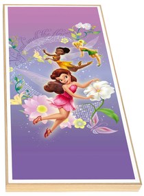 Παιδικό Κάδρο Tinkerbell KDP62 30x60cm