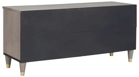 vidaXL Ντουλάπι TV Γκρι και Χρυσό 100 x 33.5 x 46 εκ Μασίφ ξύλο μάνγκο