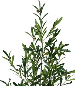 Διακοσμητικό φυτό Olive tree σε γλάστρα Inart πράσινο pp Υ120εκ