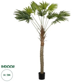 21107 GloboStar® Artificial Garden WASHINGTONIA FILIFERA TREE 21107 Τεχνητό Διακοσμητικό Φοινικόδεντρου Υ200cm