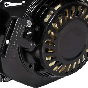 Βενζινοκινητήρας 6,5 HP 4,8 kW Μαύρος