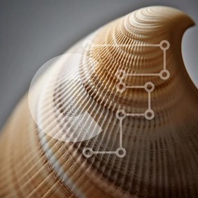 Intra Συλλεκτικό Ξύλινο Παζλ Plywood  4mm - Κοντινό πλάνο ενός ασυνήθιστα διαμορφωμένου κοχυλιού Σε Ξύλινο Κουτί - Διαστάσεις: 10x10 cm – 25 κομμάτια