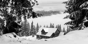 Εικόνα ενός ξύλινου σπιτιού κοντά σε χιονισμένα πεύκα σε ασπρόμαυρο - 100x50