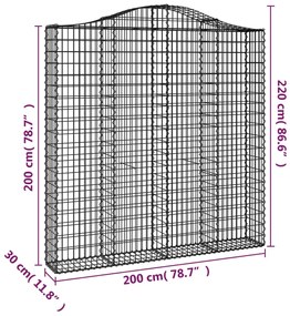 vidaXL Συρματοκιβώτια Τοξωτά 2 τεμ. 200x30x200/220 εκ. Γαλβαν. Ατσάλι