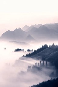 Φωτογραφία Misty mountains, Sisi & Seb