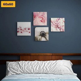 Σετ εικόνων λιχουδιά των λουλουδιών - 4x 60x60