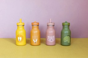Παγούρι ανοξείδωτο Trixie 350ml MR. DINO