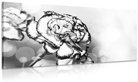 Εικόνα κομψό γαρύφαλλο σε ασπρόμαυρο - 100x50
