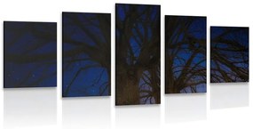 5 μέρη εικόνα δέντρα στο νυχτερινό τοπίο - 200x100