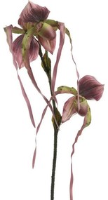 Διακοσμητικό Κλαδί-Λουλούδι 3-85-783-0052 Pink Υ92 Inart Πλαστικό