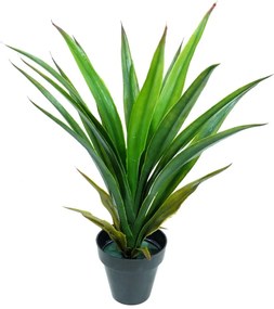 Plant in Pot CONCORAL Γιούκα 2621200B-GR