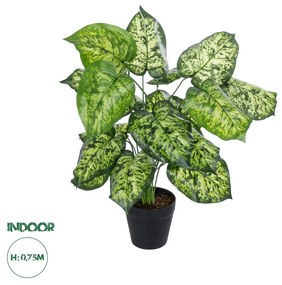 GloboStar® Artificial Garden DIEFFENBACHIA 20914 Διακοσμητικό Φυτό Υ75cm