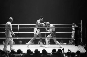 Φωτογραφία Muhammad Ali and Juergen Blin, 1971