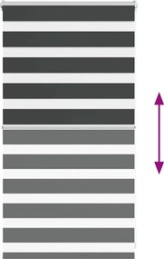 vidaXL Ζέβρα τυφλή Μαύρο Πλάτος υφάσματος 80,9 εκ. Πολυεστέρας