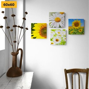Σετ εικόνων με όμορφα λουλούδια στο λιβάδι - 4x 40x40
