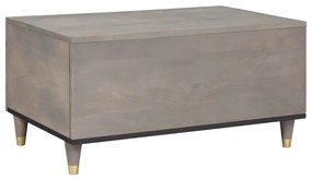 vidaXL Τραπεζάκι σαλονιού Γκρι 80 x 50 x 40 cm Μασίφ ξύλο μάνγκο