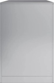 vidaXL Ράφι Καυσόξυλων 100x40x60 εκ. Γαλβανιζέ Ατσάλι