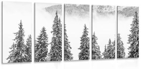 Εικόνα 5 τμημάτων χιονισμένα πεύκα σε μαύρο & άσπρο - 200x100