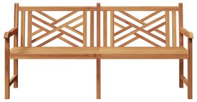 vidaXL Παγκάκι κήπου Καφέ 228 x 60 x 90 εκ Μασίφ ξύλο teak