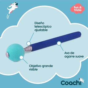 Training toy Coachi Stick Μπλε
