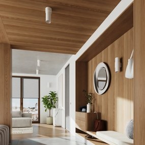 Φωτιστικό οροφής FLASH λευκό ατσάλι/1xmax 15W LED