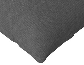 vidaXL Μαξιλάρι Καναπέ 2 pcs Σκούρο Γκρι 120 x 40 cm