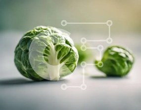 Σετ των 2 Intra Συλλεκτικό Ξύλινο Παζλ Plywood 4mm - Λαχανάκια Βρυξελλών σε γκρι φόντο Σε Ξύλινο Κουτί - Διαστάσεις: 10x10 cm – 25 κομμάτια