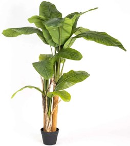 Τεχνητό Δέντρο Μπανανιά 2980-6 100x160cm Green Supergreens Polyethylene