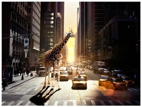 Φωτοταπετσαρία - Giraffe in the big city 250x193