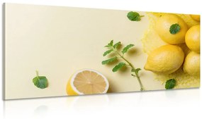 Εικόνα λεμόνια με μέντα - 100x50