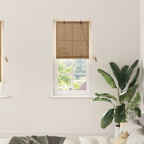 vidaXL Ρολά και Σκίες Παραθύρων Ανοιχτό καφέ 60 x 220 εκ. Μπαμπού
