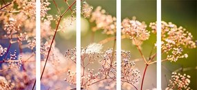 5 μέρη εικόνα λουλουδιού