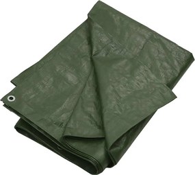 vidaXL Μουσαμάς Πράσινος 180 γρ./μ.² 8x8 μ. από HDPE
