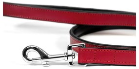 Λουρί Σκύλου Gloria 1.8 x 100 cm Κόκκινο