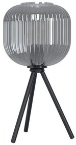 Φωτιστικό Επιτραπέζιο Mantunalle 1 99374 Black-Clear Eglo Metal, Glass