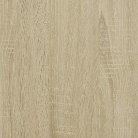 ΠΑΓΚΟΣ ΠΑΠΟΥΤΣΙΩΝ  SONOMA OAK 80X40X53,5 CM 849225