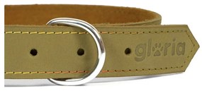 Κολλάρο Σκύλου Gloria Oasis Πράσινο (60 x 3 cm)