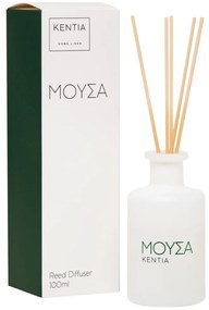 MOOD 25 ΜΟΥΣΑ DIFFUSER SECRET WOOD - KENTIA