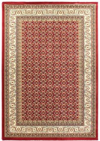 Κλασικό Χαλί Olympia Classic 5238B RED Royal Carpet - 250 x 300 cm - 11OLY5238BRE.250300 - 11OLY5238BRE.250300