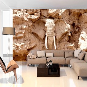 Φωτοταπετσαρία - Stone Elephant (South Africa) 100x70