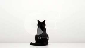 Σετ των 2 Intra Συλλεκτικό Ξύλινο Παζλ Plywood  4mm - Μαύρη γάτα που κάθεται σε λευκή επιφάνεια Σε Ξύλινο Κουτί - Διαστάσεις: 10x10 cm – 25 κομμάτια